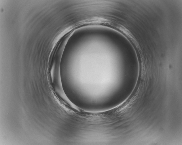 X0000054410850200507291141