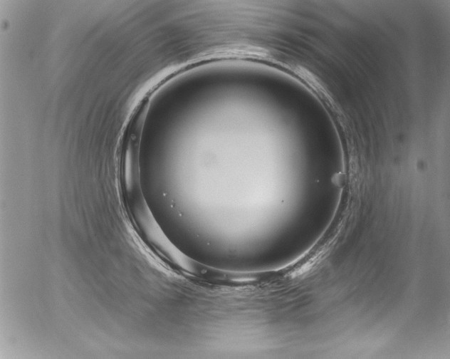 X0000054410854200507291141