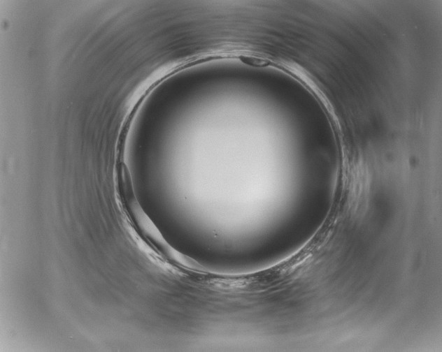 X0000054410861200507291141
