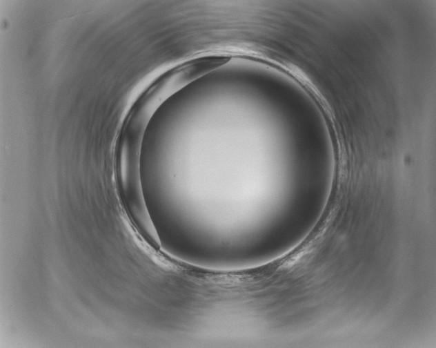 X0000054410862200507291141