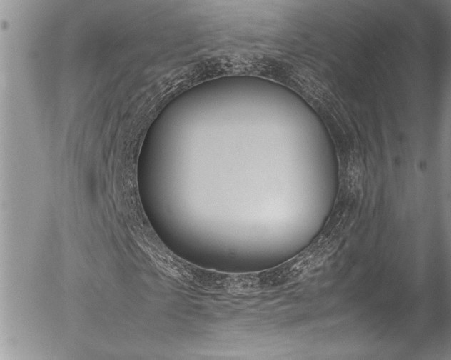 X0000054410865200507291140