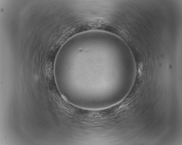 X0000054410867200507291140