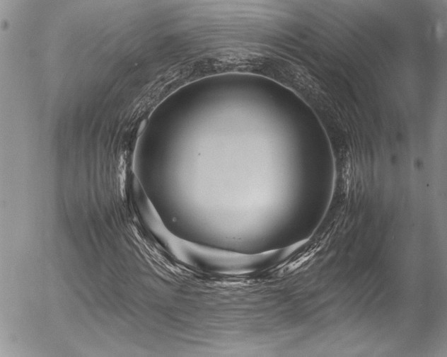 X0000054410868200507291140