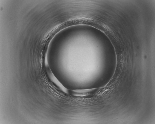 X0000054410872200507291140