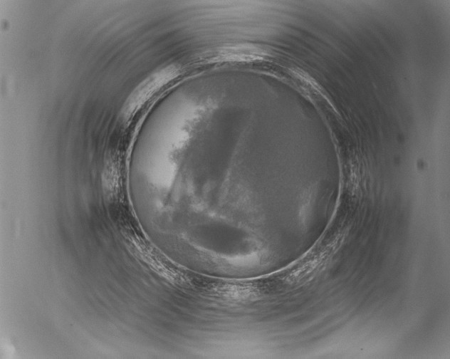 X0000054410874200507291140