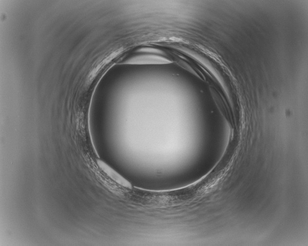 X0000054410881200507291140