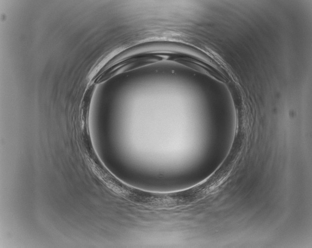 X0000054410885200507291140