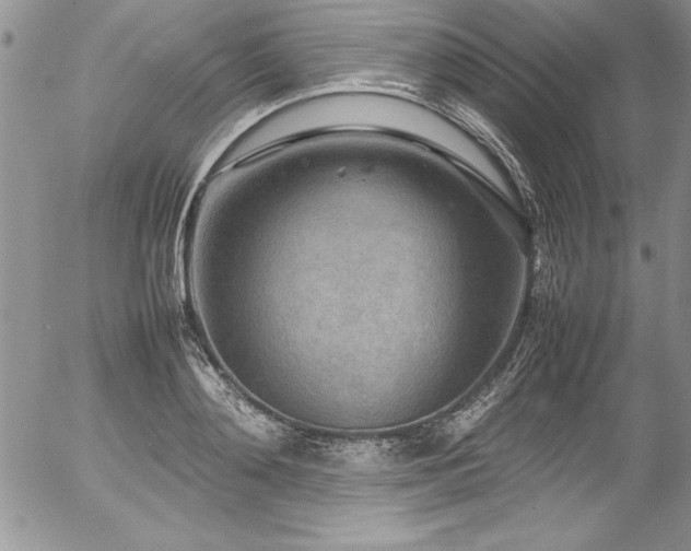 X0000054410892200507291140