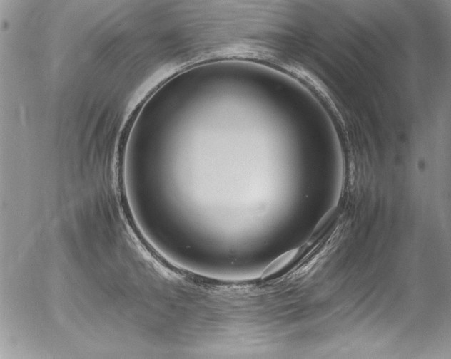X0000054410902200507291139