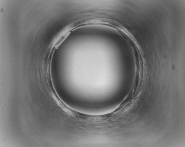 X0000054410909200507291139