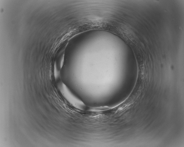 X0000054410916200507291139