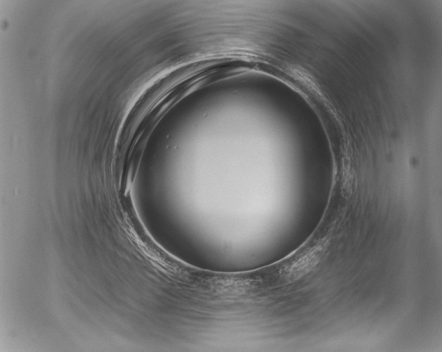 X0000054410924200507291139