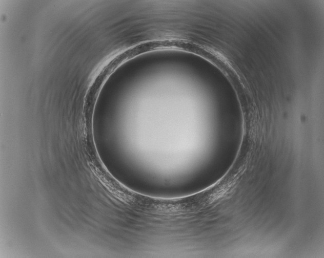 X0000054410927200507291139
