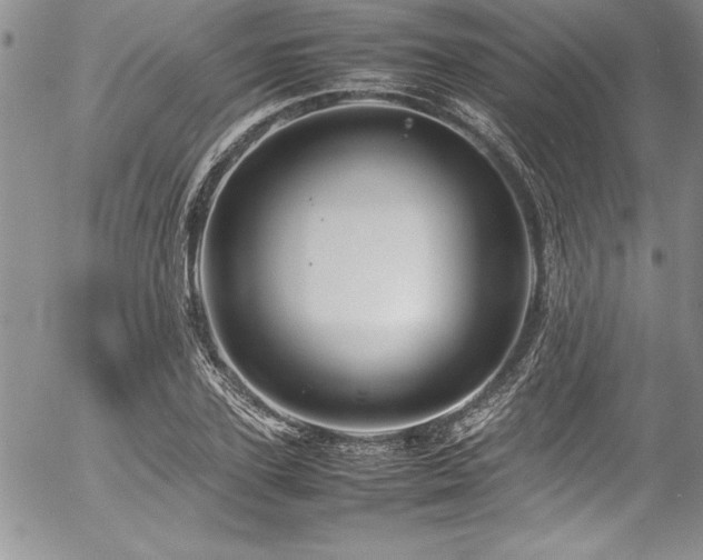 X0000054410931200507291139