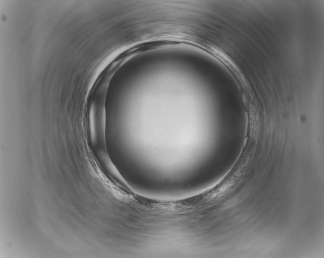 X0000054410956200507291139