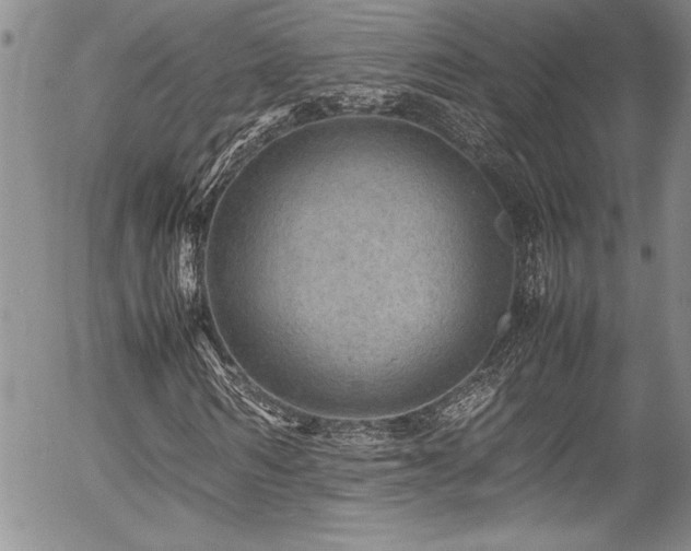 X0000054410962200507291138
