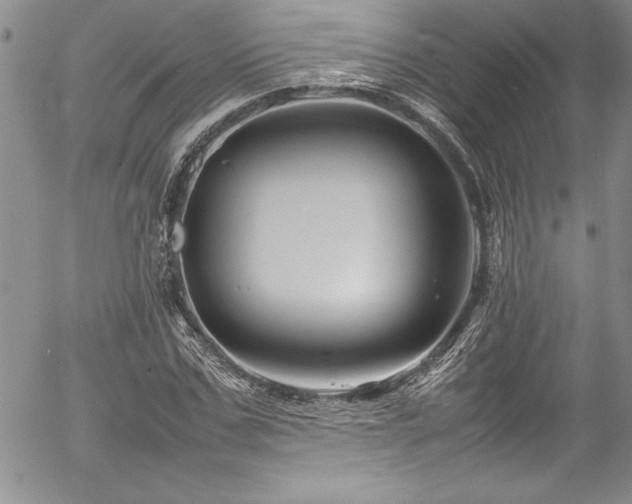 X0000054410971200507291138
