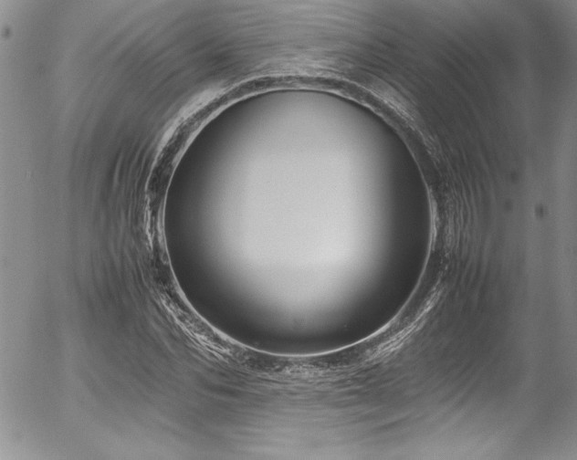 X0000054410974200507291138