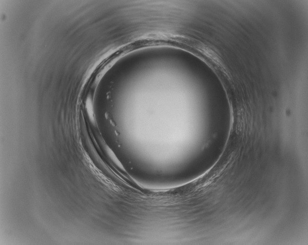 X0000054410976200507291138