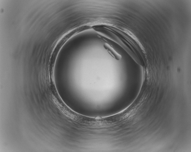 X0000054410980200507291138