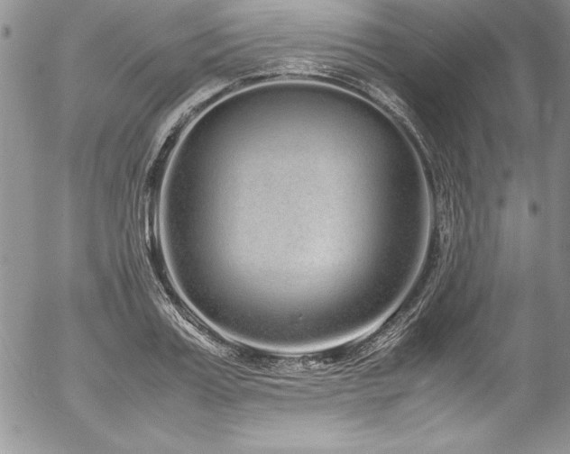 X0000054410987200507291138