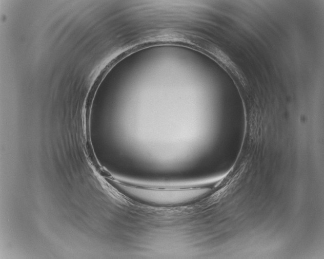 X0000054410988200507291138
