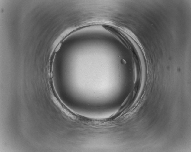 X0000054411005200507291138