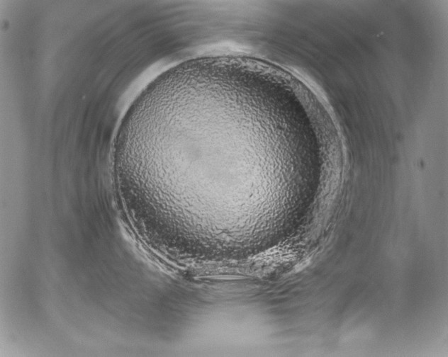 X0000054411008200507291138