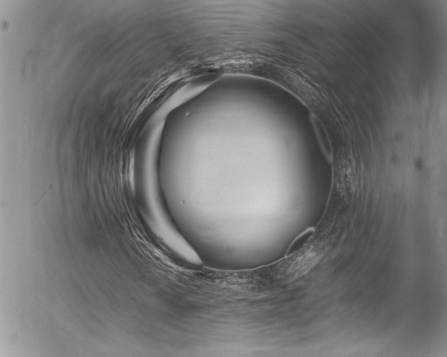 X0000054411010200507291137