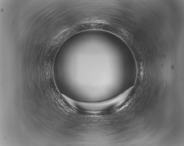 X0000054411014200507291137