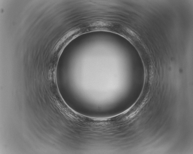 X0000054411017200507291137