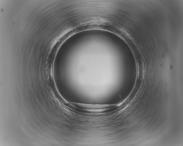 X0000054411018200507291137