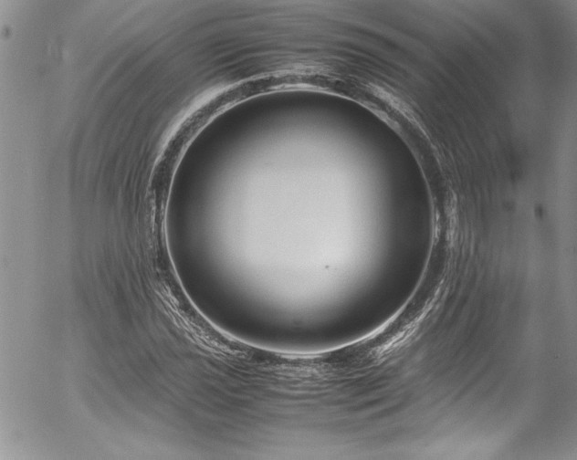 X0000054411021200507291137