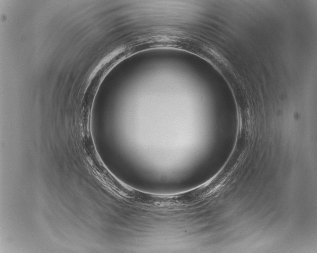 X0000054411026200507291137