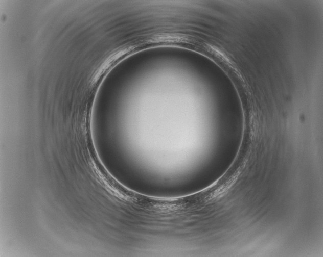 X0000054411033200507291137