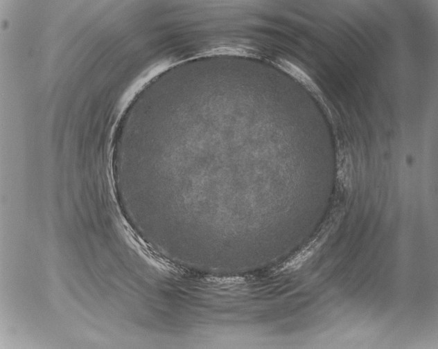 X0000054411043200507291137