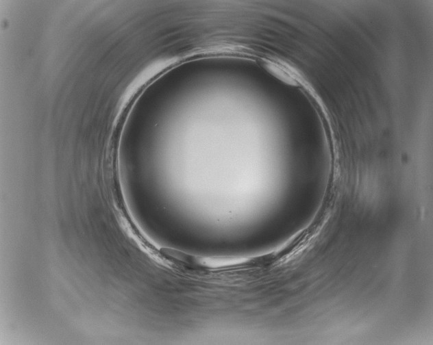 X0000054411053200507291138
