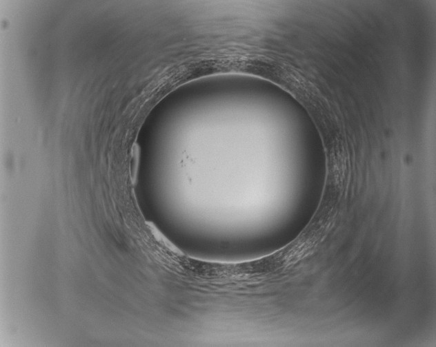 X0000054411057200507291137