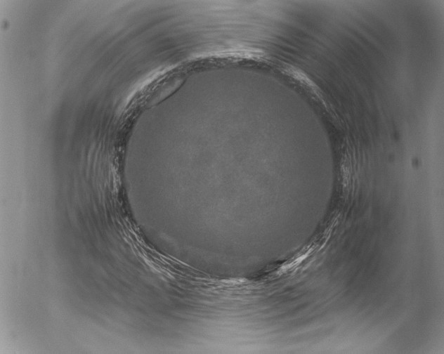 X0000054411064200507291137