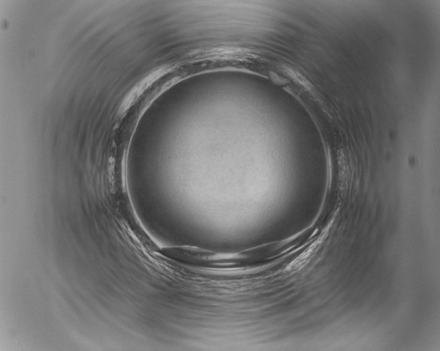 X0000054411066200507291137