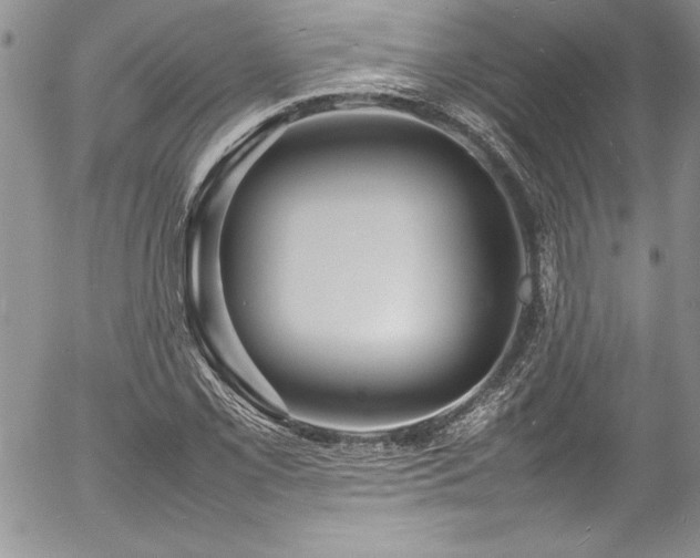 X0000054411069200507291137