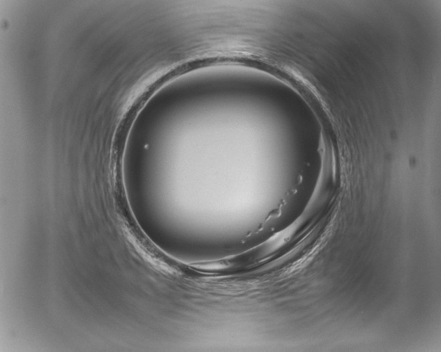 X0000054411077200507291137