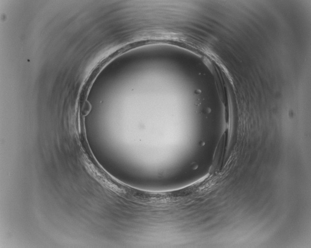 X0000054411080200507291137