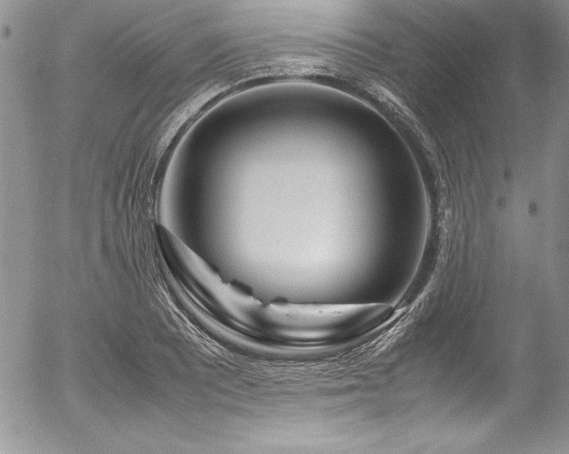 X0000054411081200507291136