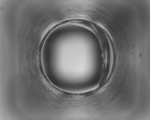 X0000054411085200507291136