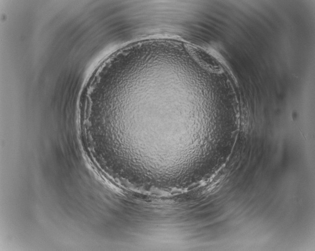 X0000054411096200507291136