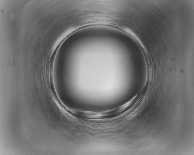 X0000054411101200507291136