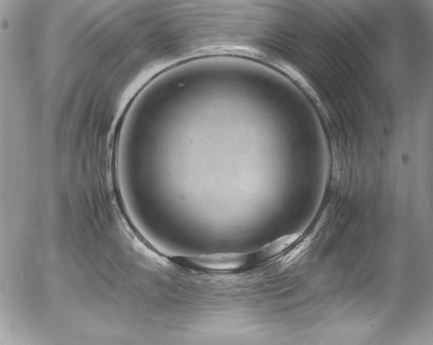X0000054411102200507291136