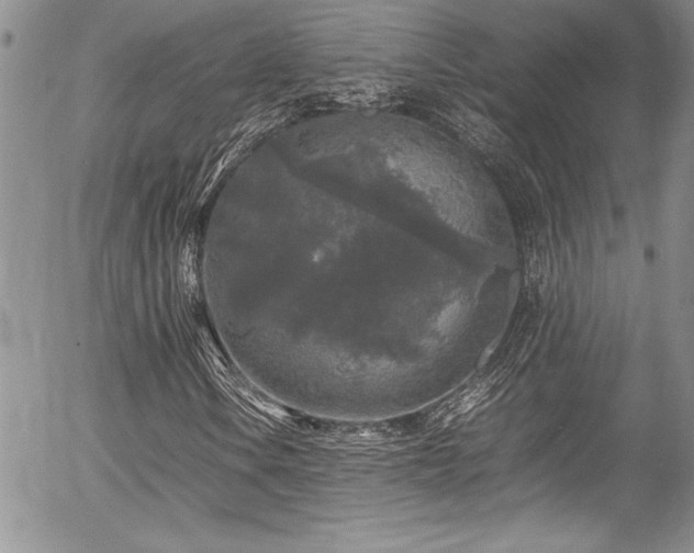 X0000054411106200507291135
