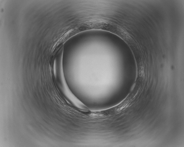 X0000054411108200507291135